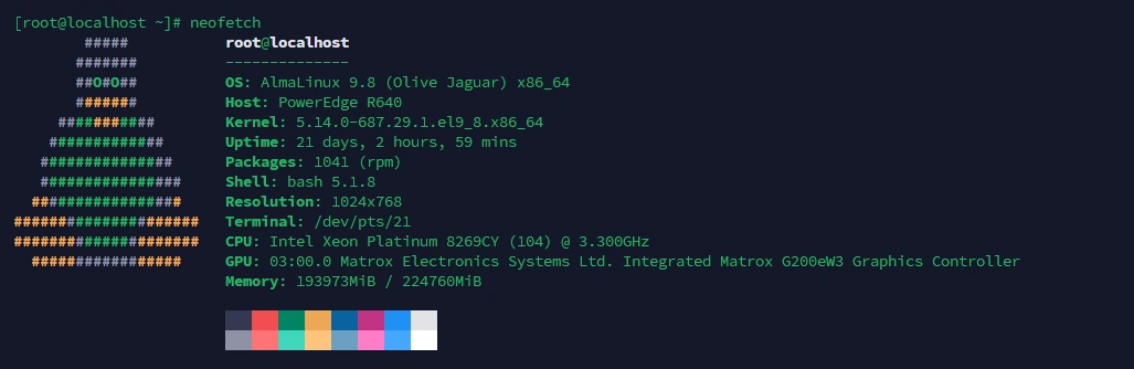 Intel Xeon Platinum 8269-CY: AlmaLinux system information on a PowerEdge R640.